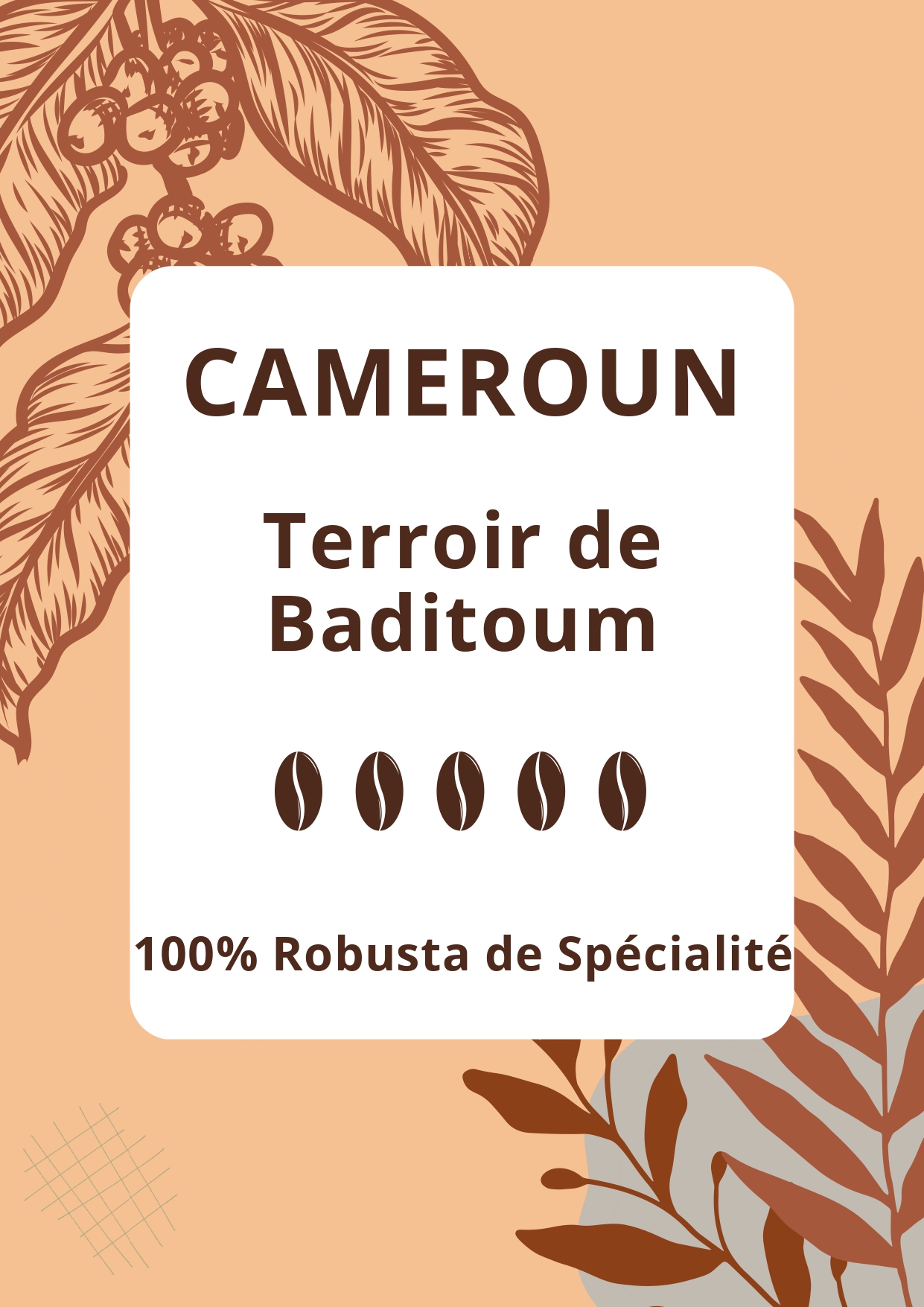 Sélection de Cafés