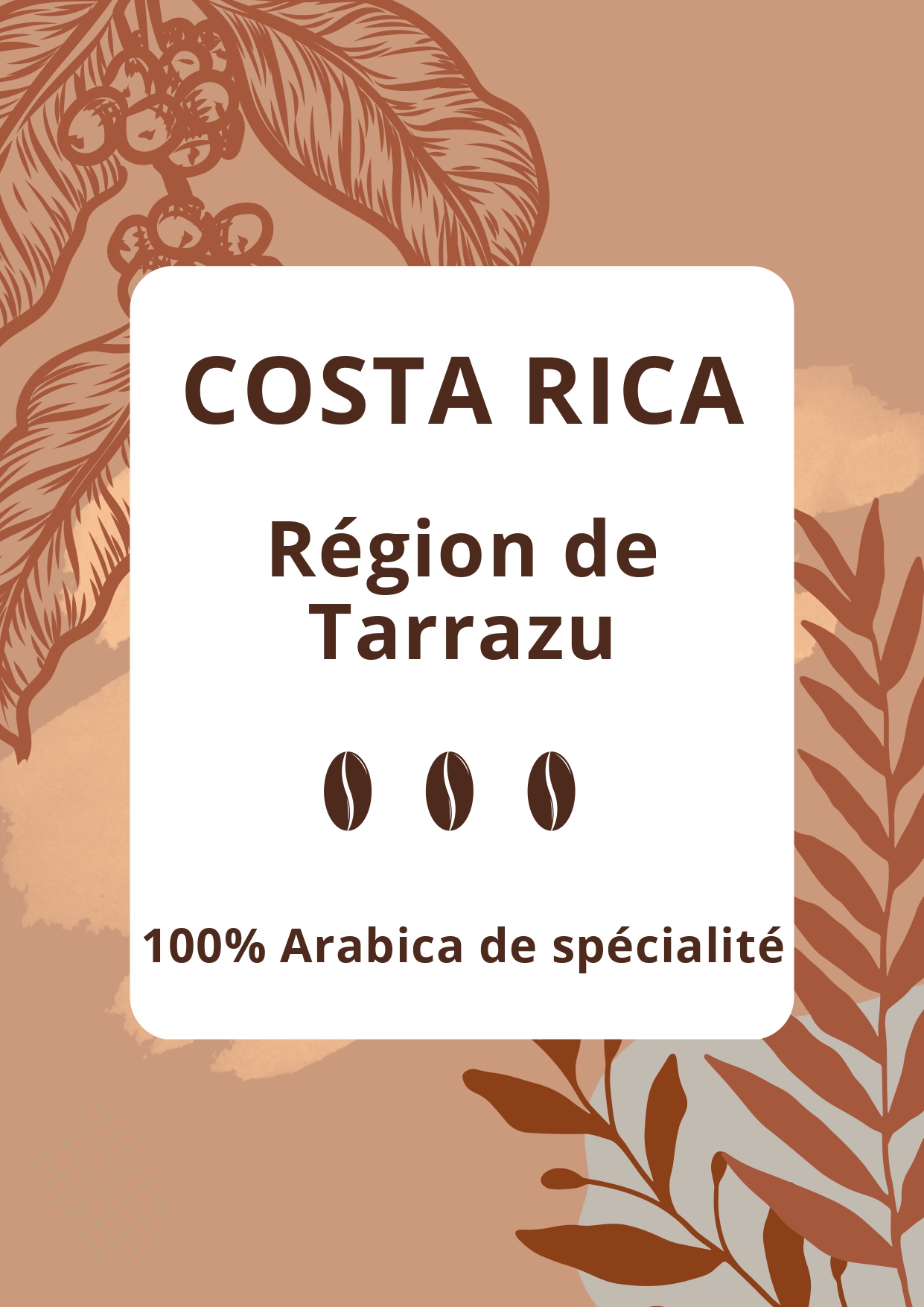 Sélection de Cafés